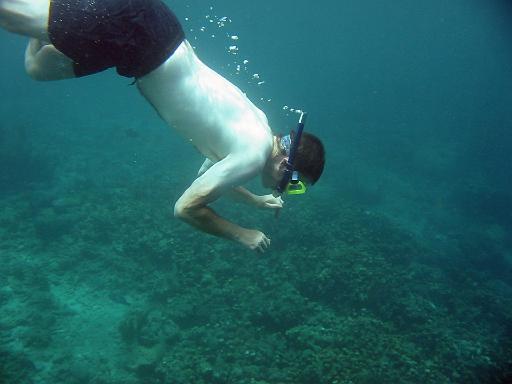 18_Simon_dives