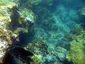 10_More_Buccoo_reef